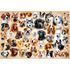1500 bitar - Collage with dogs