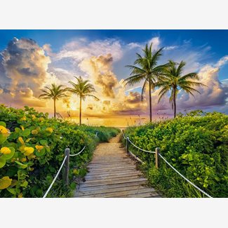 3000 bitar - Colorful sunrise in Miami, USA
