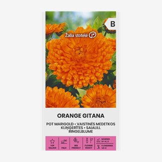 Ringblomma, Orange Gitana