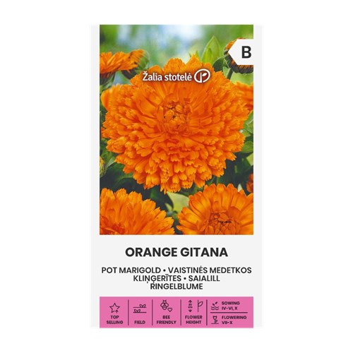 Ringblomma, Orange Gitana