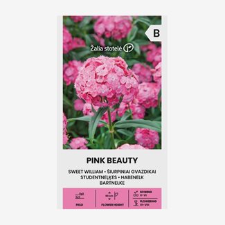 Nejlika, Borstnejlika, Pink Beauty