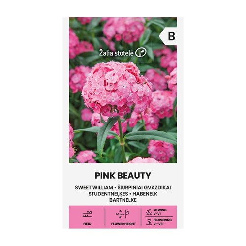 Nejlika, Borstnejlika, Pink Beauty