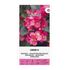 Begonia, Oreb F1