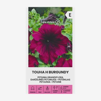 Petunia, Touha Burgundy F1