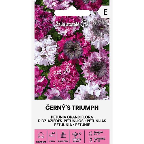 Petunia, Cernys Triumph