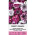 Petunia, Cernys Triumph