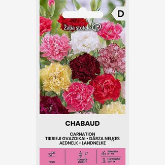 Nejlika, Trädgårdsnejlika, Chabaud mix