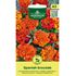 Tagetes, Spanish Brocade