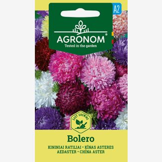 Aster, Bolero mix