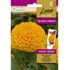 Tagetes, Taishan Orange