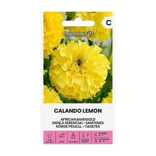 Tagetes, Calando Lemon