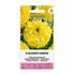 Tagetes, Calando Lemon