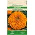Tagetes, Calando Orange