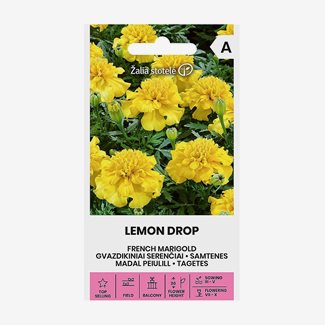 Tagetes, Lemon Drop