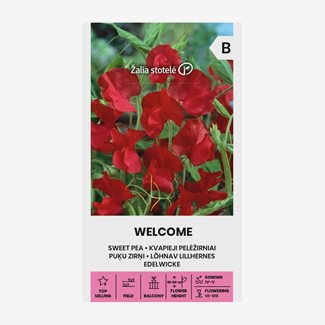 Luktärt, Welcome