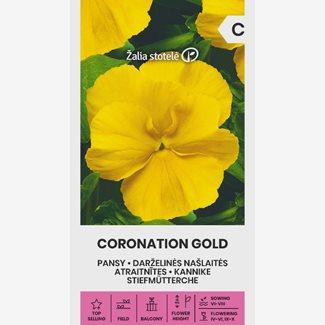 Pensé, Coronation Gold