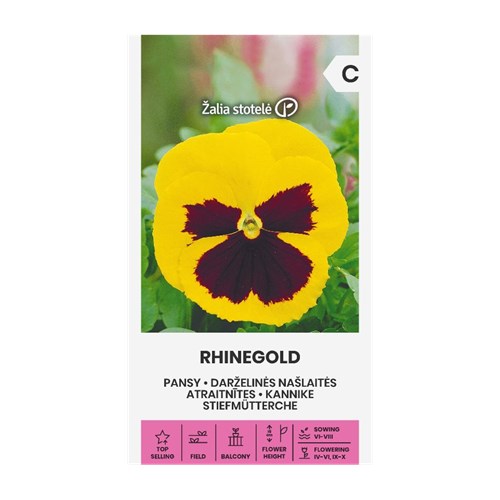 Pensé, Rhinegold