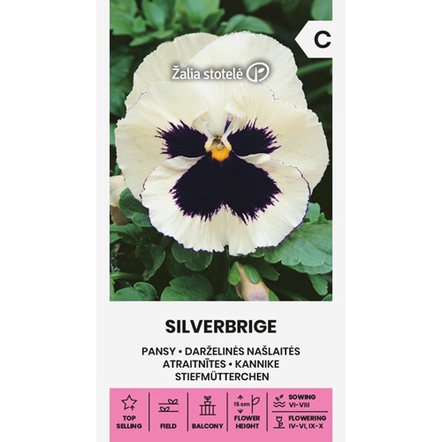 Pensé, Silverbrige