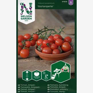 Tomat, Ampel-, Gartenperle