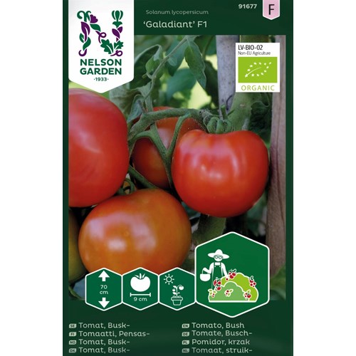 Tomat, Busk-, Galadiant F1 Organic