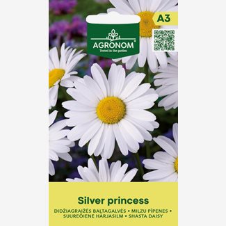 Prästkrage, Silver Princess
