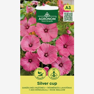 Malva, Sommarmalva, Silver Cup