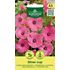 Malva, Sommarmalva, Silver Cup