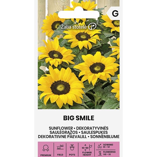 Solros, Big Smile