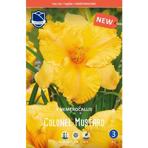 Daglilja, Colonel Mustard