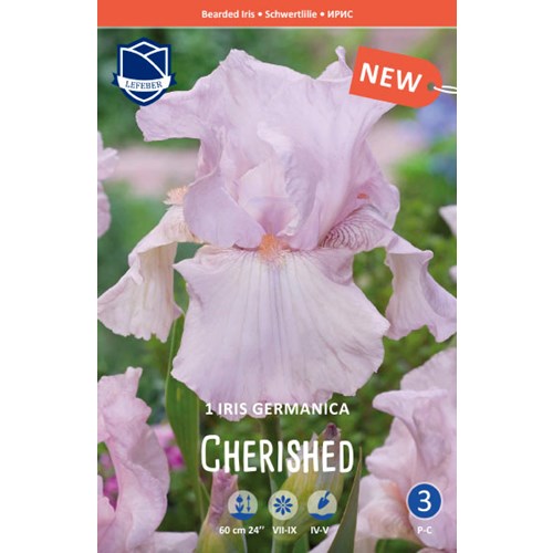 Iris Germanica, Cherished