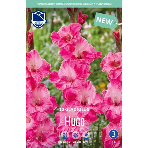 Gladiol, Hugo