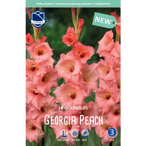 Gladiol, Georga Peach