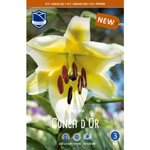 Lilja, orient, Conca d Or