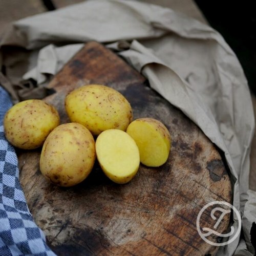 Sättpotatis, Merle, 1 kg