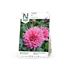 Dahlia, Ottos Thrill