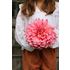 Dahlia, Ottos Thrill
