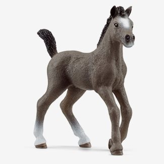 Schleich Häst, Cheval de Selle Fr. - föl