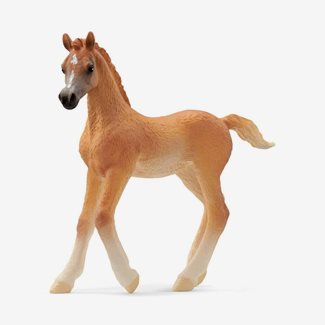 Schleich Häst, Arabhäst - föl