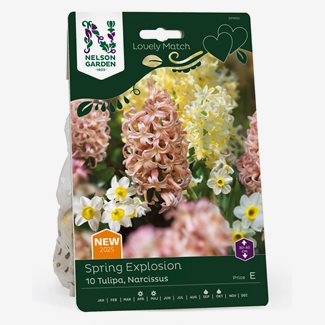 Perfect Partners, Spring Explosion