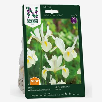 Iris, White van Vliet