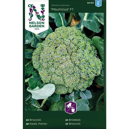 Kål, Broccoli, Mauricius F1