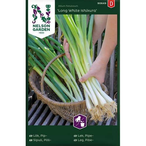 Lök, Piplök, Long White Ishikura