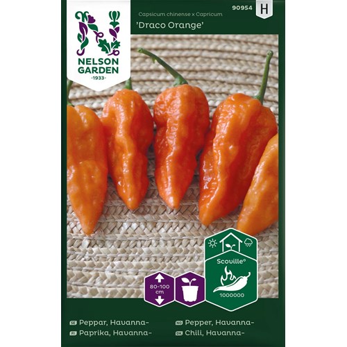 Chili, Havannapeppar, Draco Orange