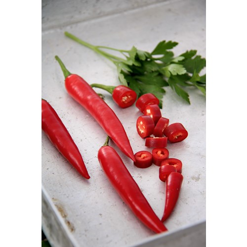 Chili, Chilipeppar, Damian