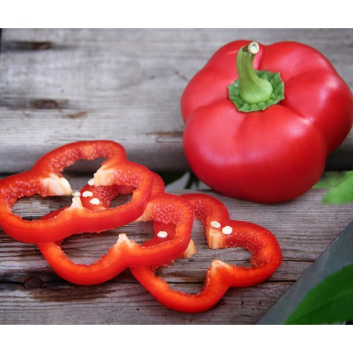 Paprika, krukpaprika, Kobild F1