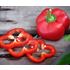 Paprika, krukpaprika, Kobild F1