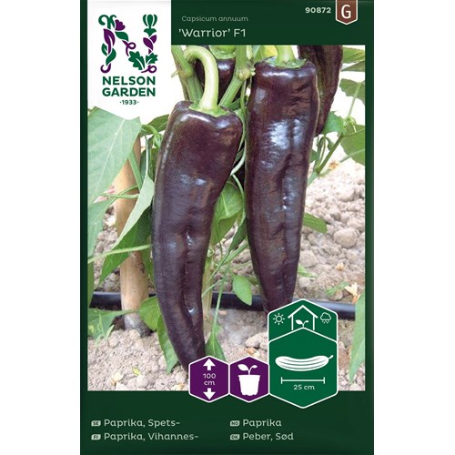 Paprika, Spetspaprika, Warrior F1