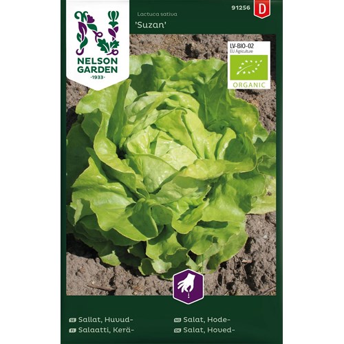Sallat, Huvudsallat, Suzan, EKO