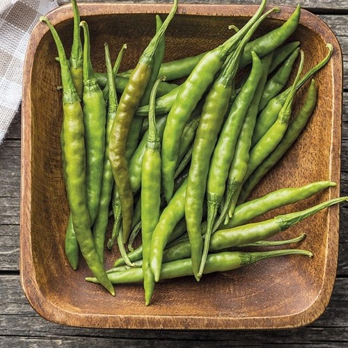 Chili, Curry Pepper F1