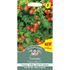 Tomat, Cherry blast F1